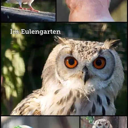 דירה Wohnen Im Eulengarten אורניינבורג