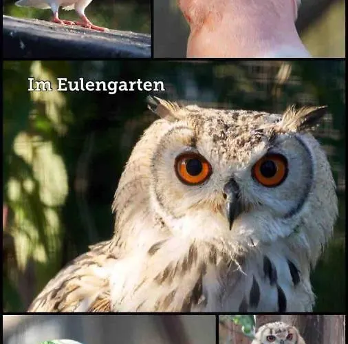 شقة Wohnen Im Eulengarten أورانينبورغ